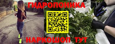 винт Обь